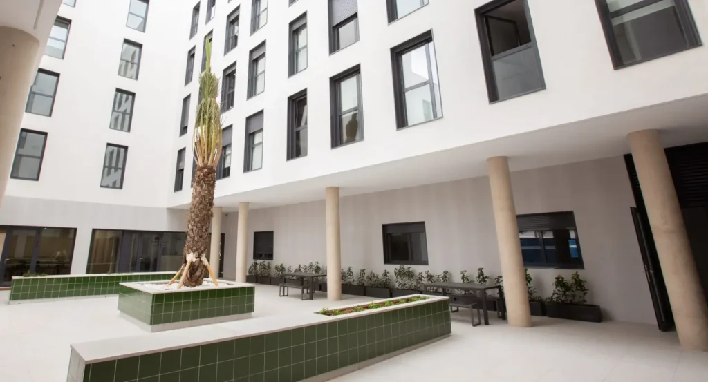 MiCampus Valencia Yaz Okulu