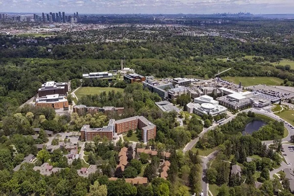 University of Toronto Yaz Okulu